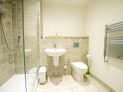 Picture 8